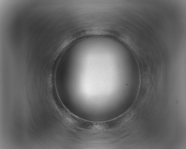 X0000062600111200512281408