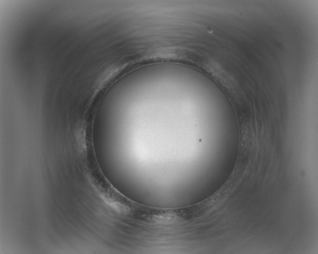 X0000062600112200512281408