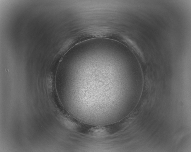 X0000062600113200512281408