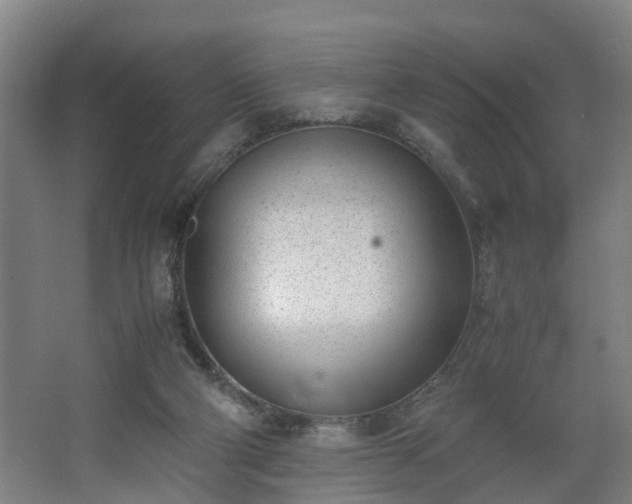 X0000062600114200512281408