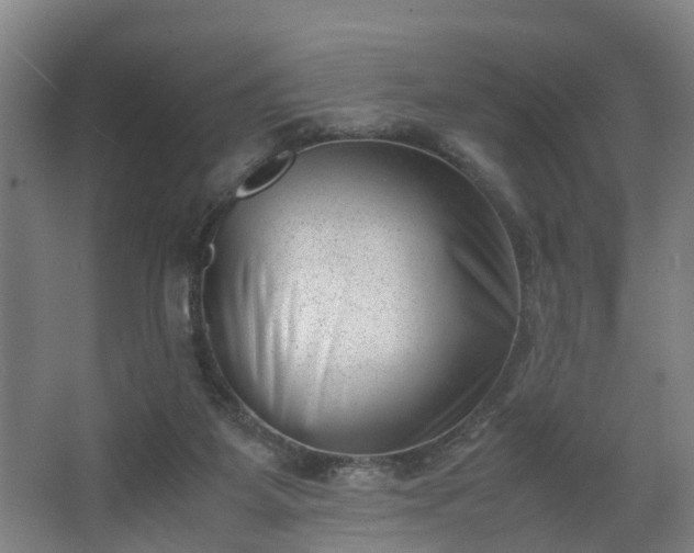 X0000062600115200512281408