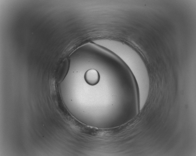 X0000062600117200512281408