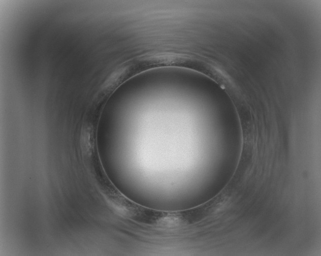 X0000062600119200512281408