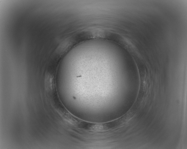 X0000062600123200512281408