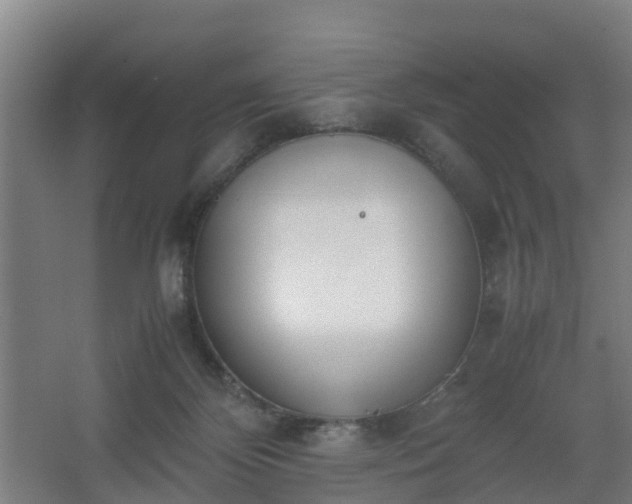 X0000062600124200512281408