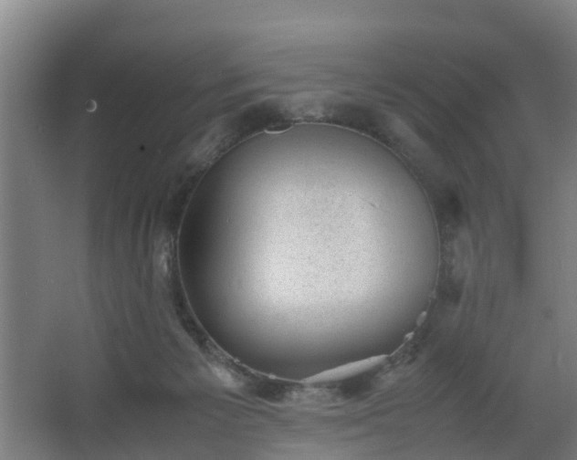 X0000062600125200512281408