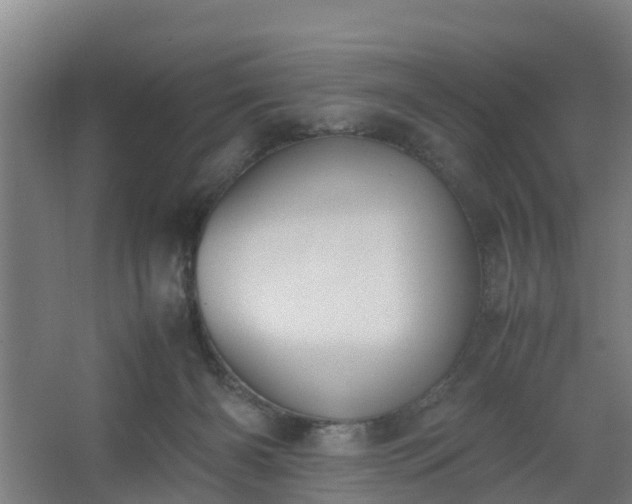 X0000062600126200512281408