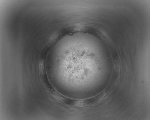 X0000062600127200512281408