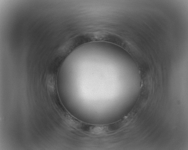 X0000062600129200512281408