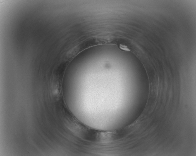 X0000062600134200512281408