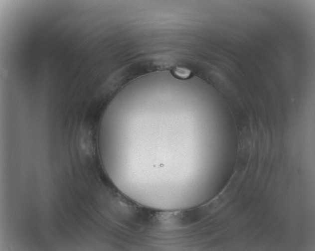 X0000062600136200512281408