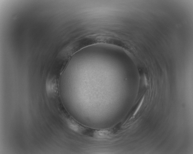 X0000062600137200512281408