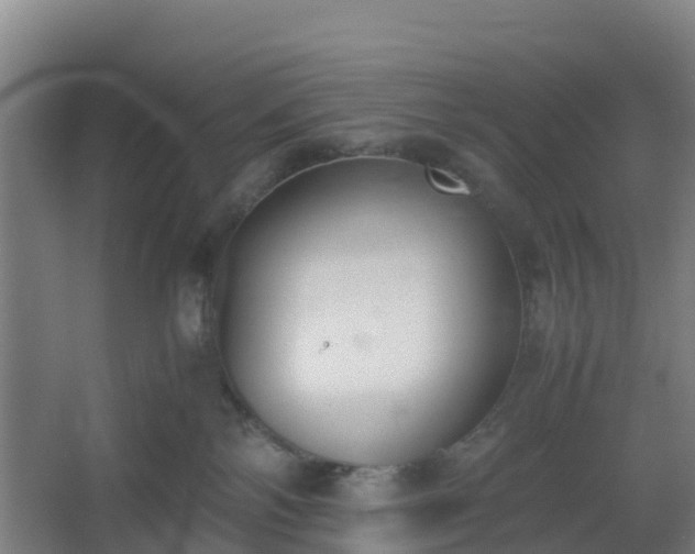 X0000062600138200512281408