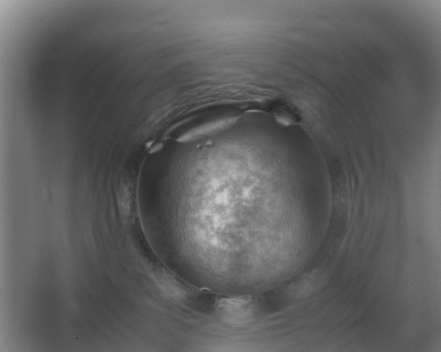 X0000062600139200512281408