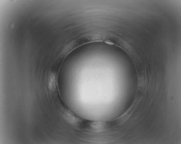 X0000062600142200512281408