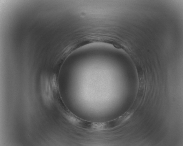 X0000062600143200512281408