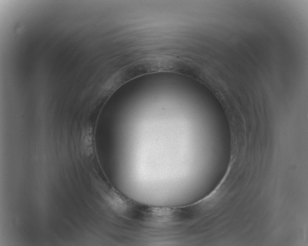 X0000062600144200512281408