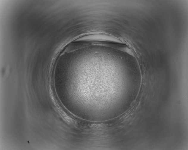 X0000062600145200512281407