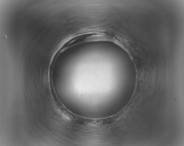 X0000062600148200512281407