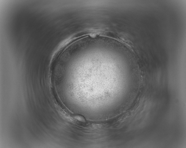 X0000062600149200512281407