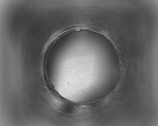 X0000062600151200512281407