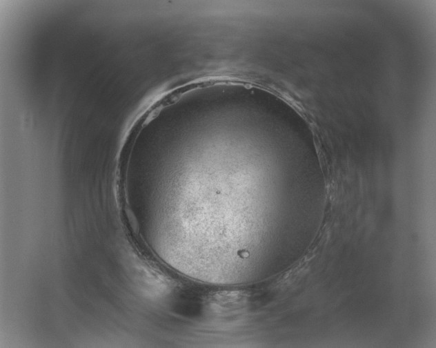 X0000062600152200512281407