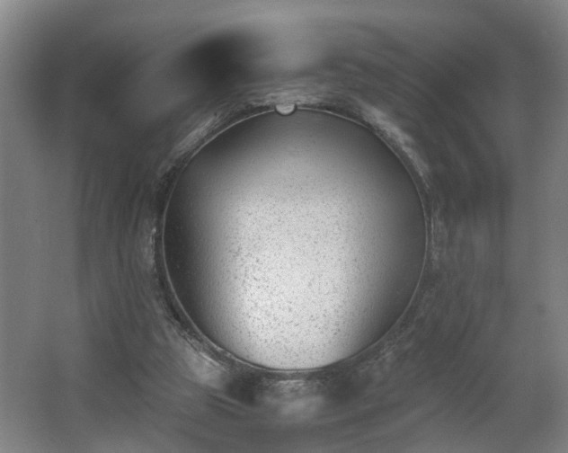 X0000062600153200512281407