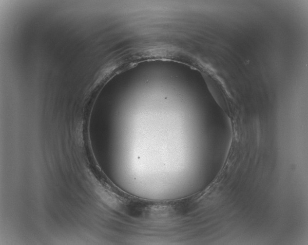 X0000062600154200512281407