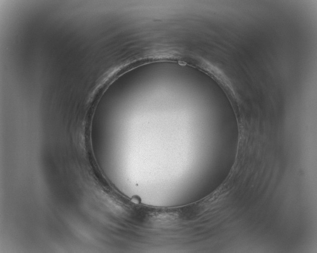 X0000062600155200512281407