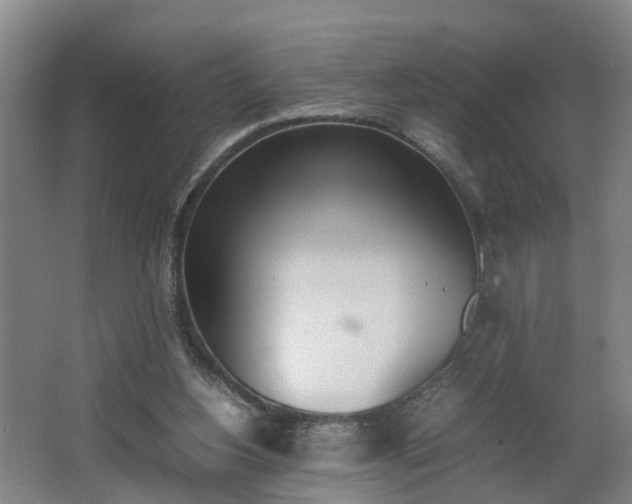 X0000062600156200512281407