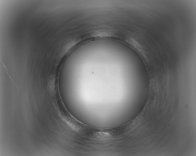 X0000062600159200512281407