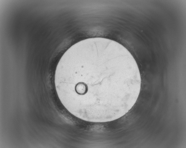 X0000062600162200512281407