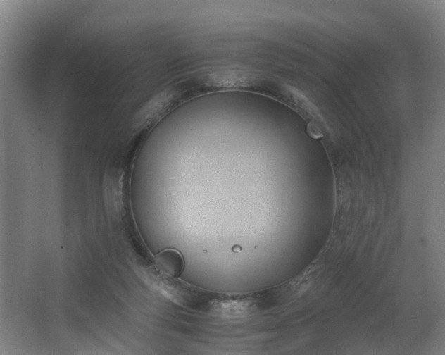 X0000062600163200512281407