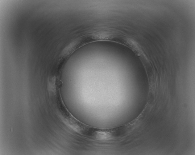 X0000062600167200512281407