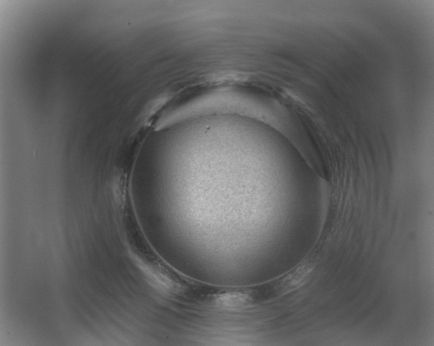 X0000062600168200512281407