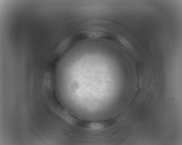 X0000062600169200512281407