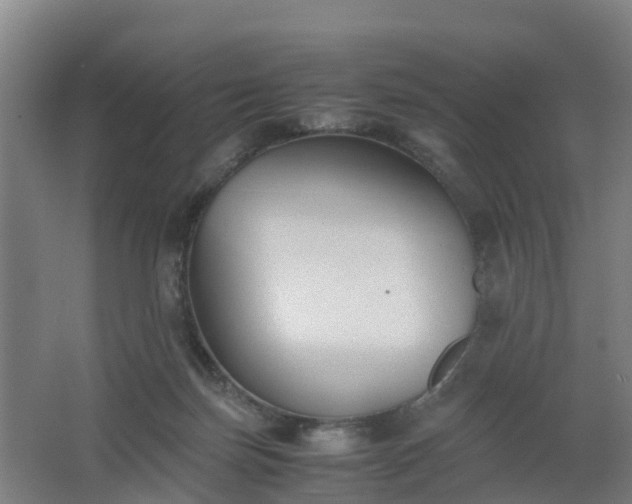 X0000062600171200512281407