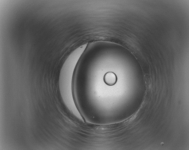 X0000062600174200512281408