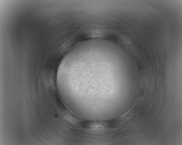 X0000062600175200512281408