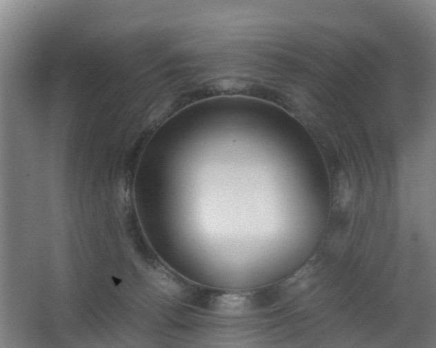 X0000062600176200512281408