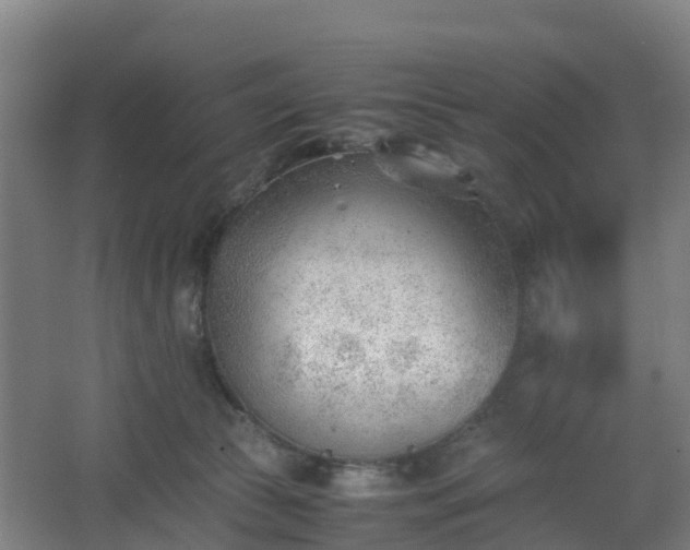 X0000062600177200512281408