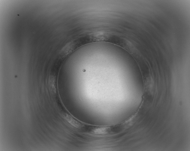 X0000062600178200512281408