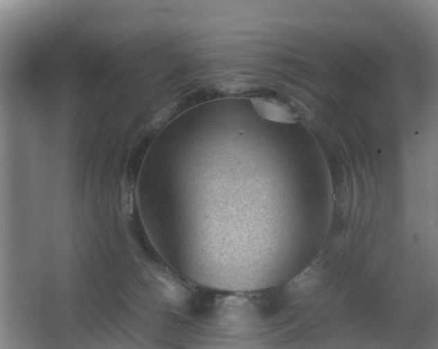 X0000062600180200512281408