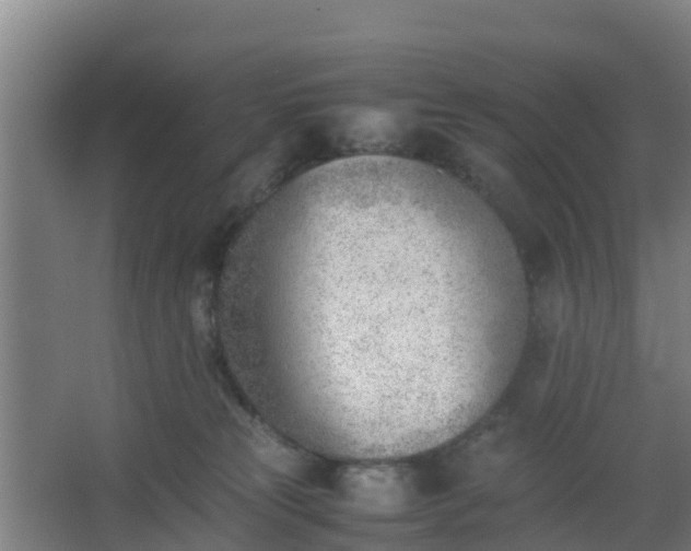 X0000062600181200512281408