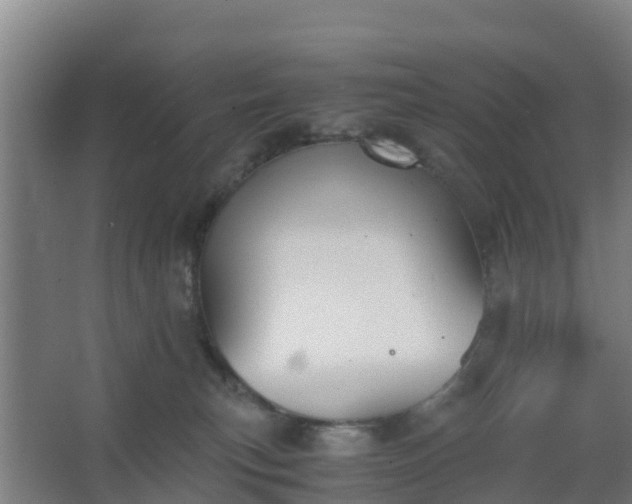 X0000062600183200512281408