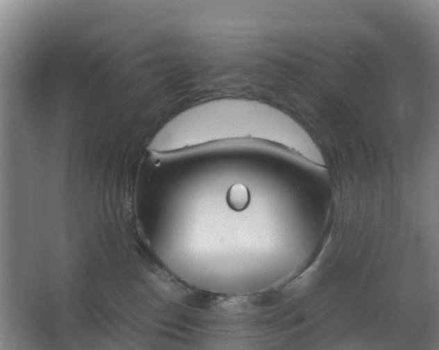 X0000062600186200512281408