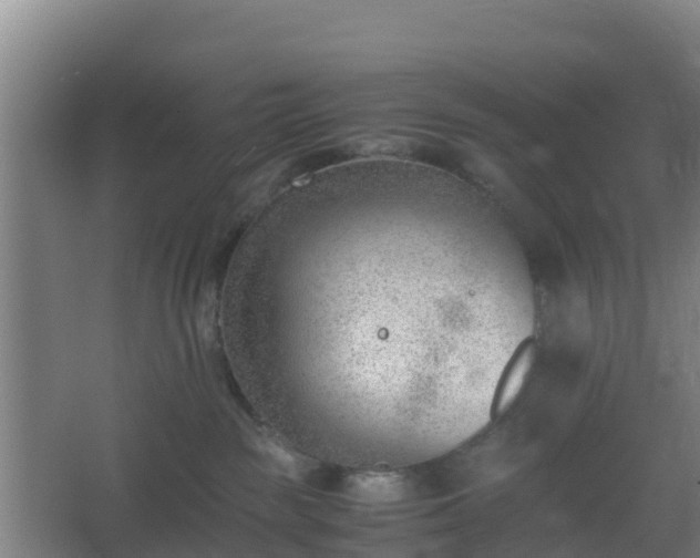 X0000062600189200512281408