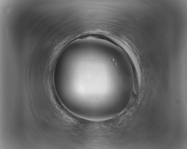 X0000062600193200512281407