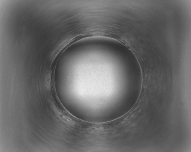 X0000062600194200512281407