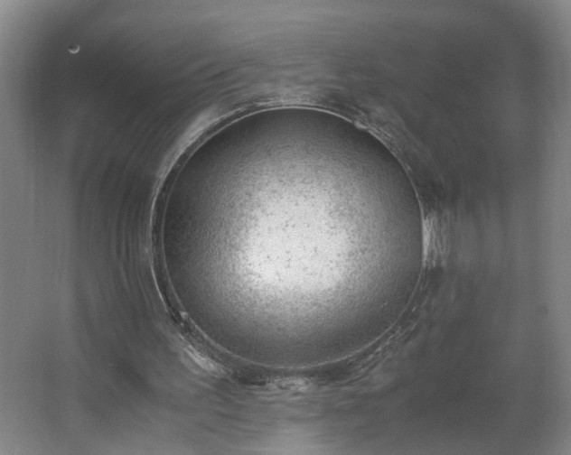 X0000062600195200512281407